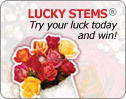 Instant winner! Try your luck today and win!