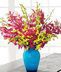 Orchids