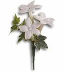 White Gloves Boutonniere