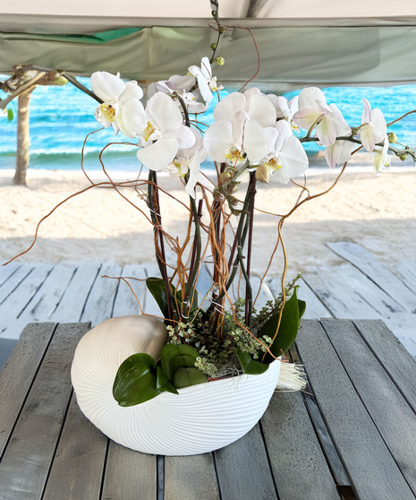 Seaside Orchids