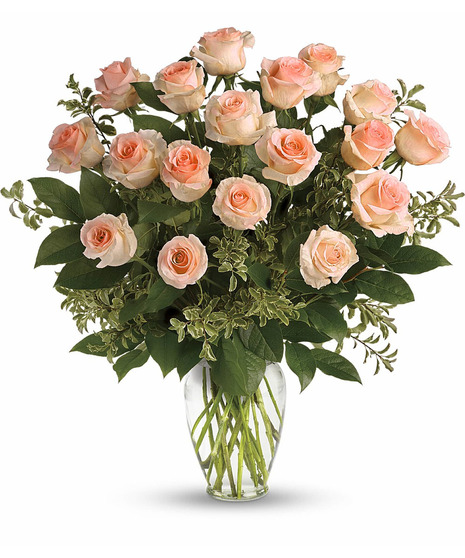 Premium Peach Roses