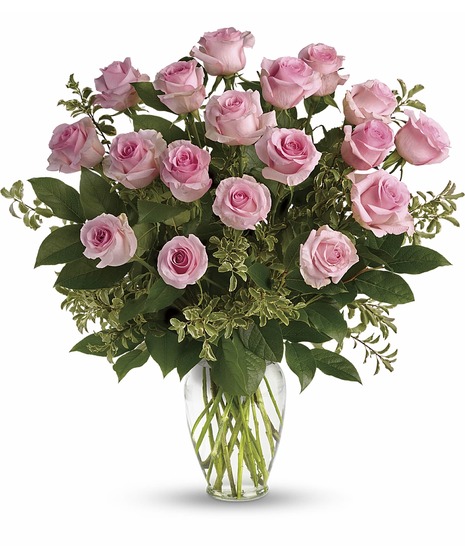 Premium Pink Roses