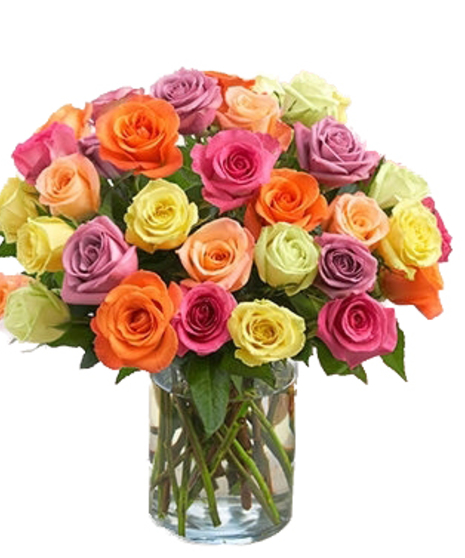 Assorted Colored Roses