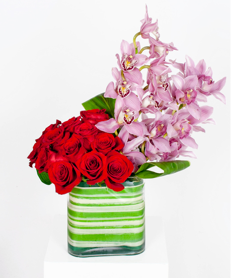 Orchid Revival