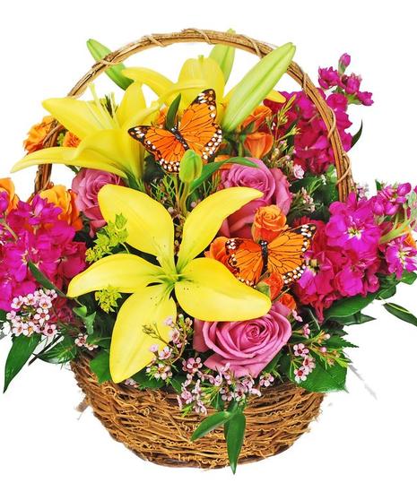 Bright yellow, orange and pink flowers in a basket with butterfly decorations.