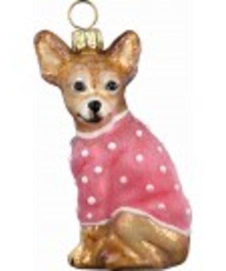 Diva Dog Chihuahua with Pink Coat