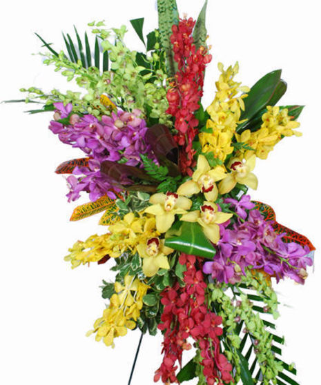 Sympathy spray of dendrobium, mokara and cymbidium orchids with tropical greenery.