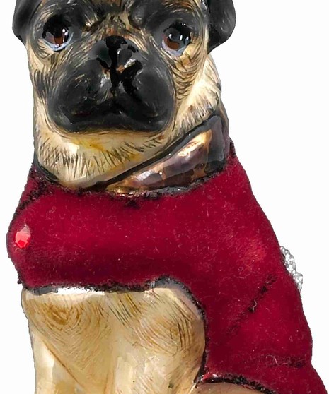 Diva Dog Pug