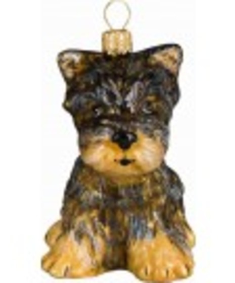 Joy to the World Yorkshire Terrier Puppy