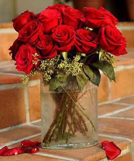 Rose Delivery Hollywood & Pembroke Pines FL | Fresh Cut Roses