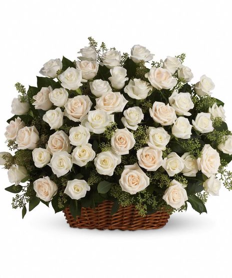 Sympathy basket filled with luminous white roses. 
