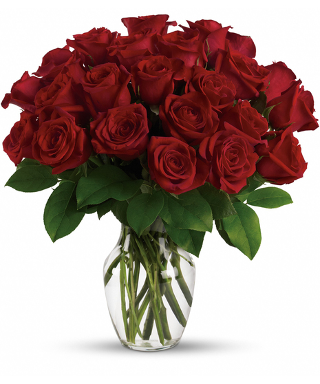 A dozen long stem red roses arranged in a clear vase with elegant greenery.