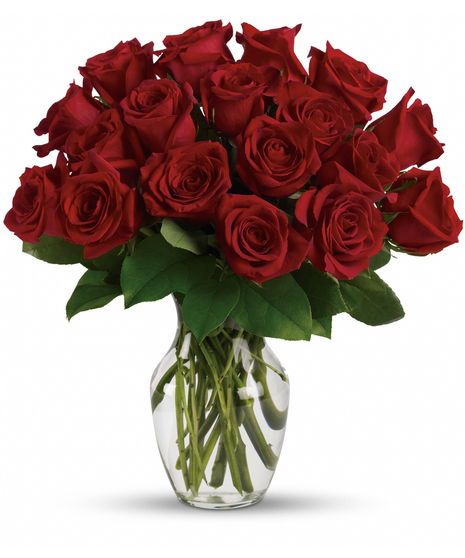 A dozen long stem red roses arranged in a clear vase with elegant greenery.